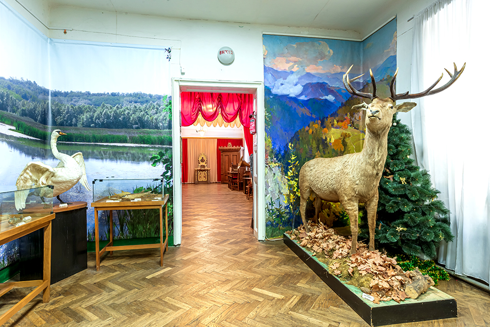 Тваринний світ краю