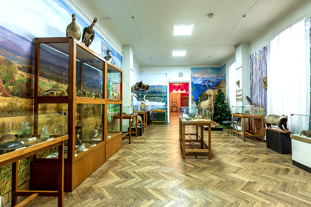 Тваринний світ краю