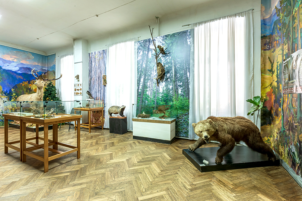 Тваринний світ краю