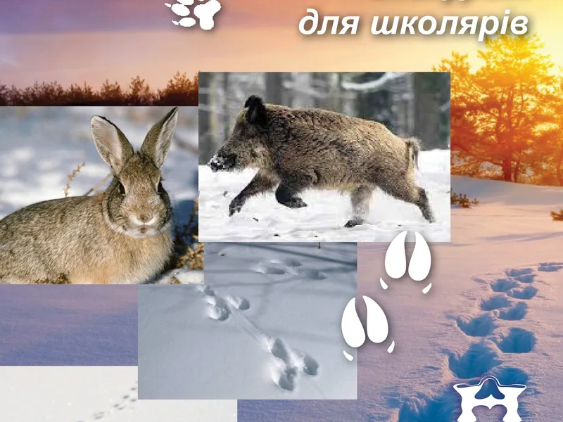 СЛІДИ НА СНІГУ