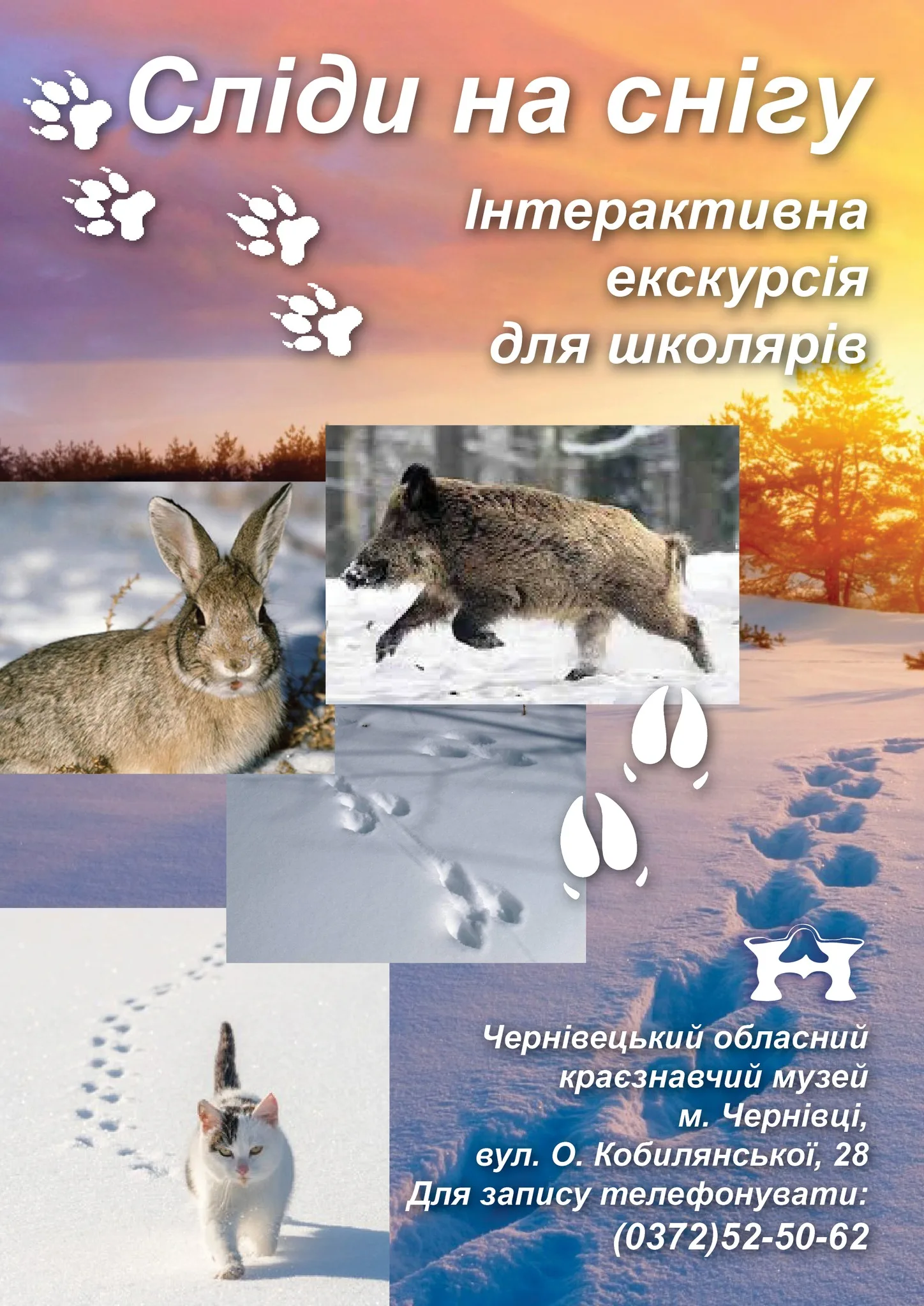 СЛІДИ НА СНІГУ